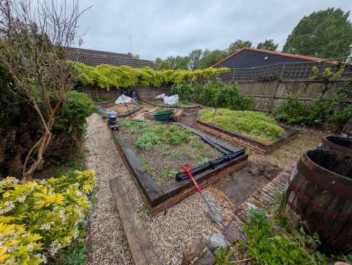 Overgrown gravel garden and raised beds before restoration in Barham, Suffolk