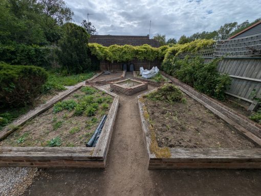 Raised garden beds mid-way thorough weeding and clearance