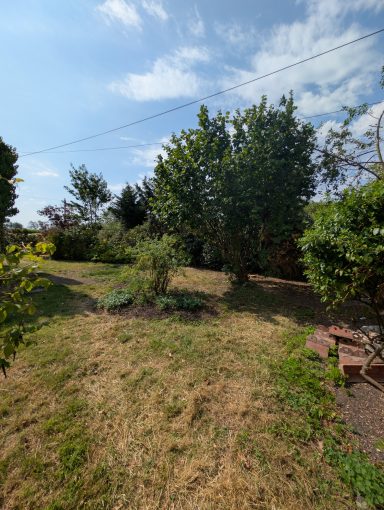 A wide shot of the rear garden once the clearance was complete