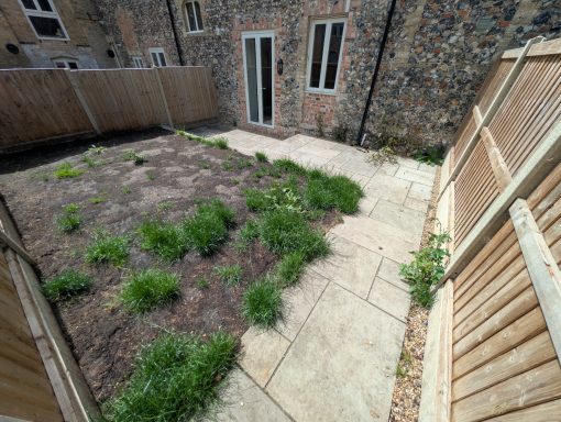 The back garden before being weeded in Thetford, Norfolk