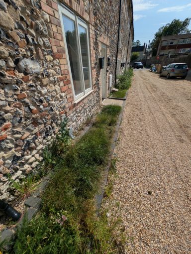 Overgrown beds at the front of the property