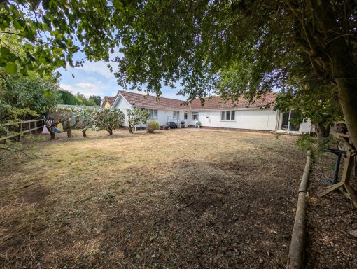View of the now cleared space from the rear of the garden