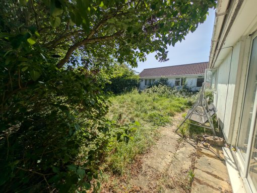 Overgrown patio and garden before clearance in Haughley