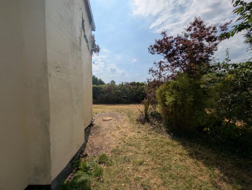 The spot where the overgrown tree once stood