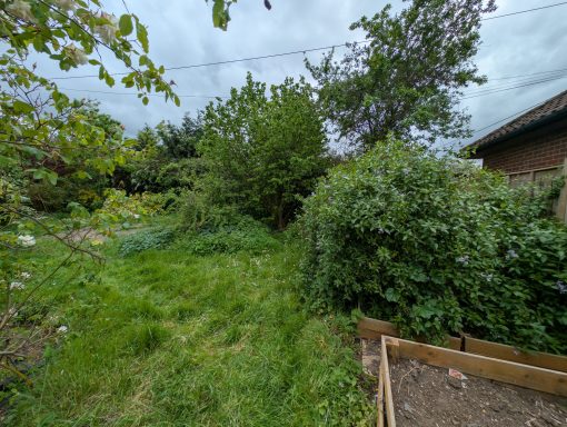 Wide shot of the garden after over a decade of not being properly maintained
