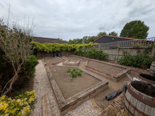 Raised garden beds after thorough weeding and clearance