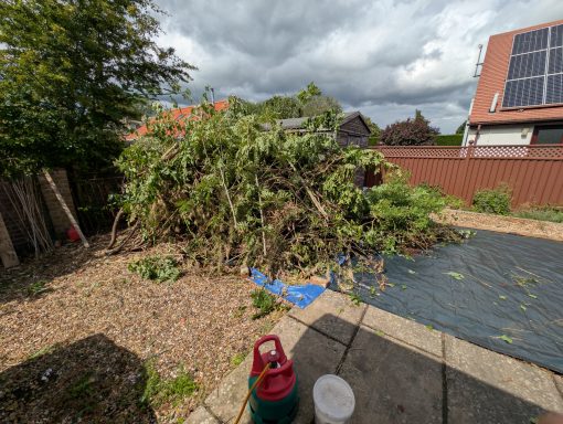 A large pile of green waste resulting from the clearance, before processing